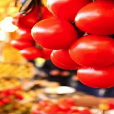 Du Printemps Párizs