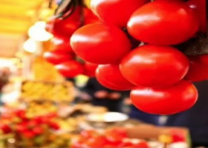دو برينتوم باريس